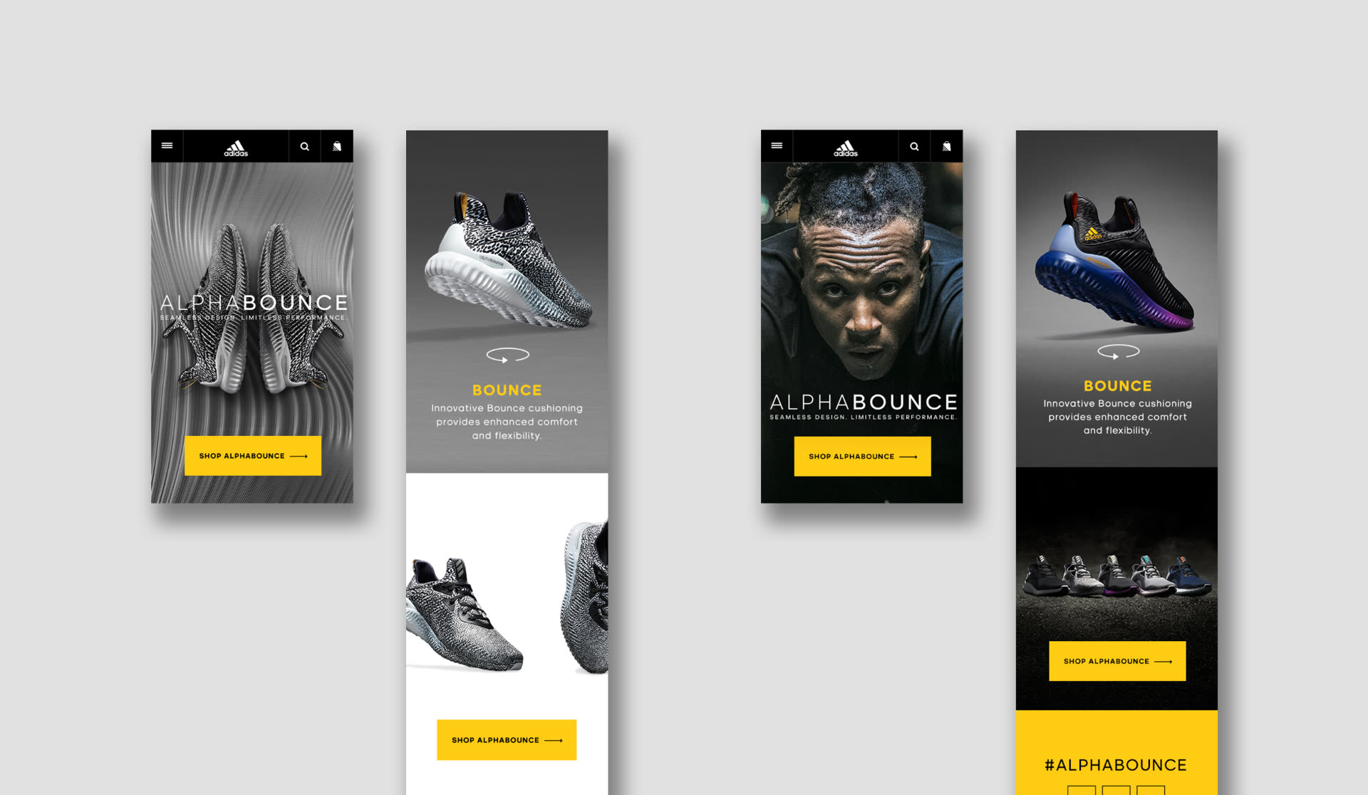 Project showcase 1