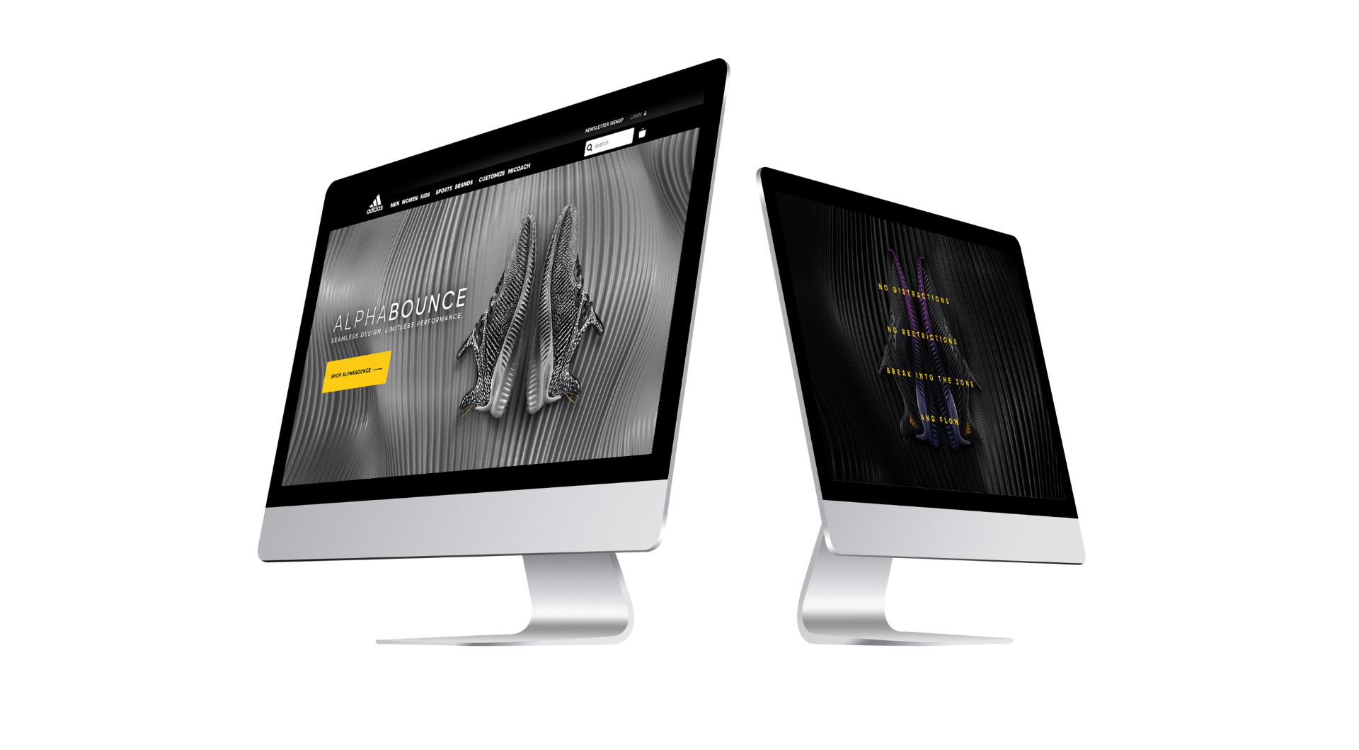 Project showcase 2