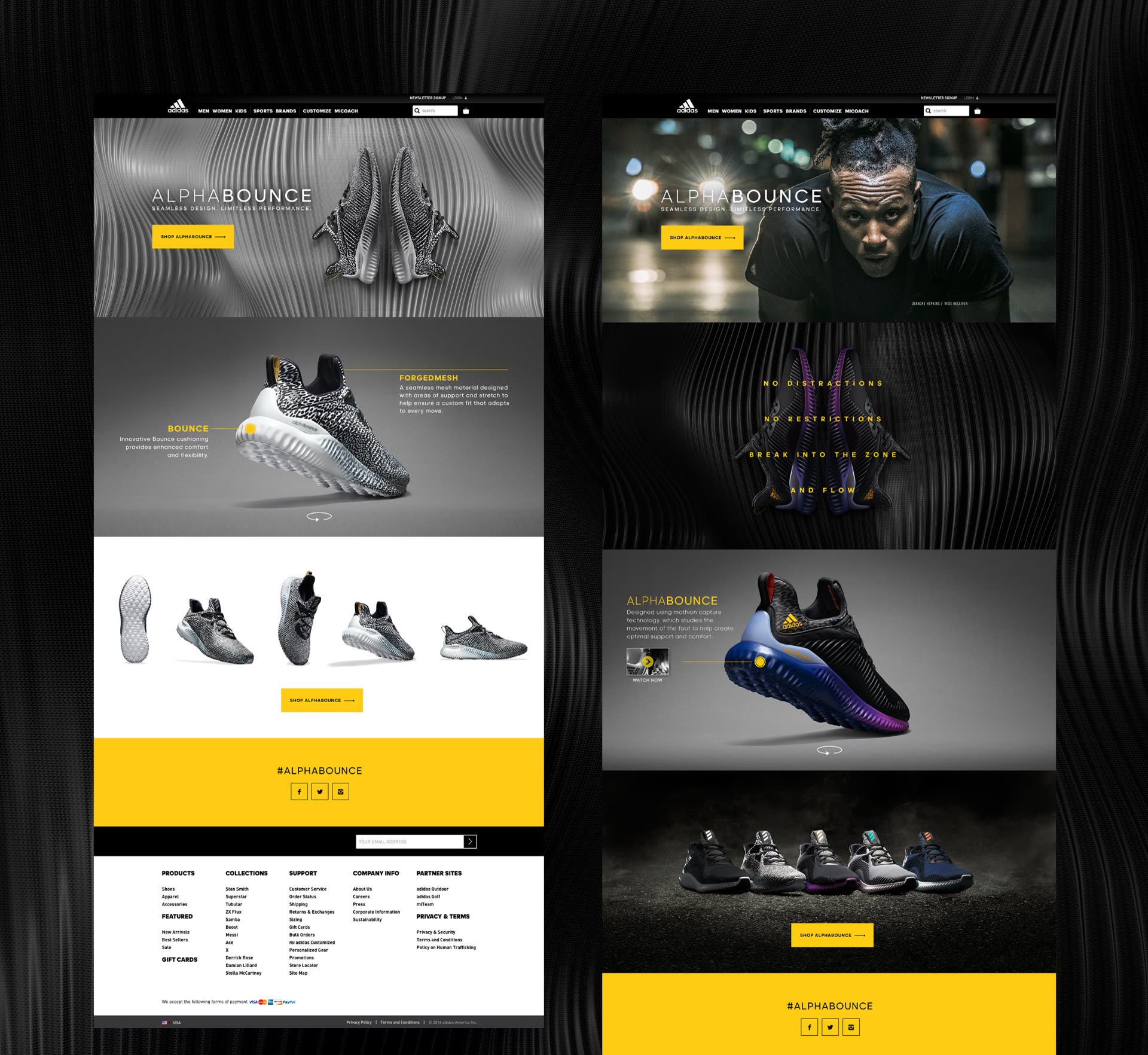 Project showcase 3