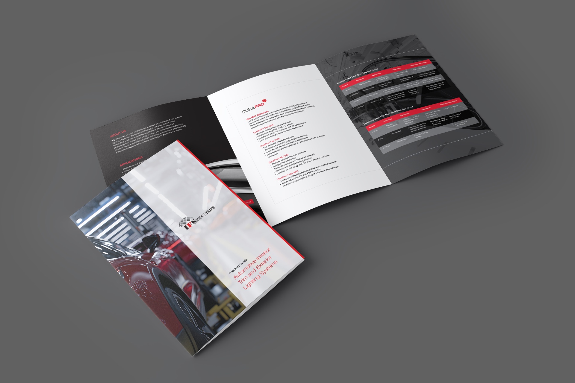 Project showcase 3